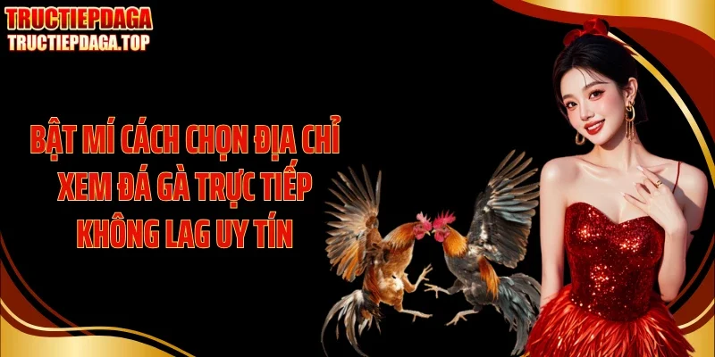 bat mi cach chon dia chi xem da ga truc tiep khong lag uy tin Bật mí cách chọn địa chỉ xem đá gà trực tiếp không lag uy tín