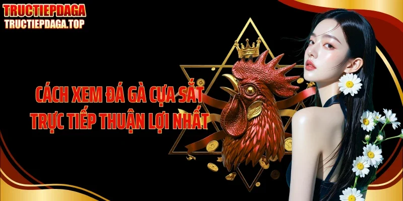 Cách xem đá gà cựa sắt trực tiếp thuận lợi nhất