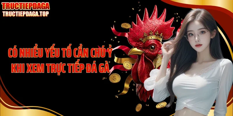 co nhieu yeu to can chu y khi xem truc tiep da ga Có nhiều yếu tố cần chú ý khi xem trực tiếp đá gà