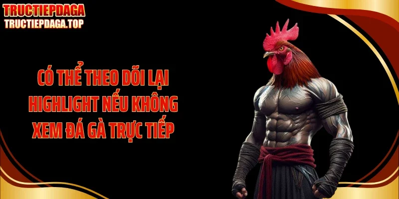 co the theo doi lai highlight neu khong xem da ga truc tiep Có thể theo dõi lại highlight nếu không xem đá gà trực tiếp