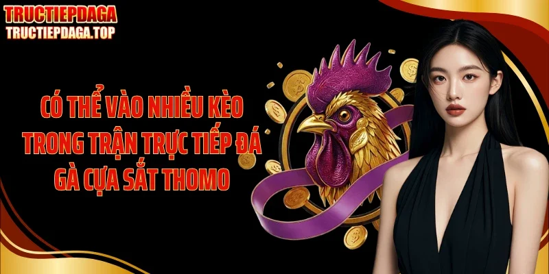 co the vao nhieu keo trong tran truc tiep da ga cua sat thomo Có thể vào nhiều kèo trong trận trực tiếp đá gà cựa sắt Thomo