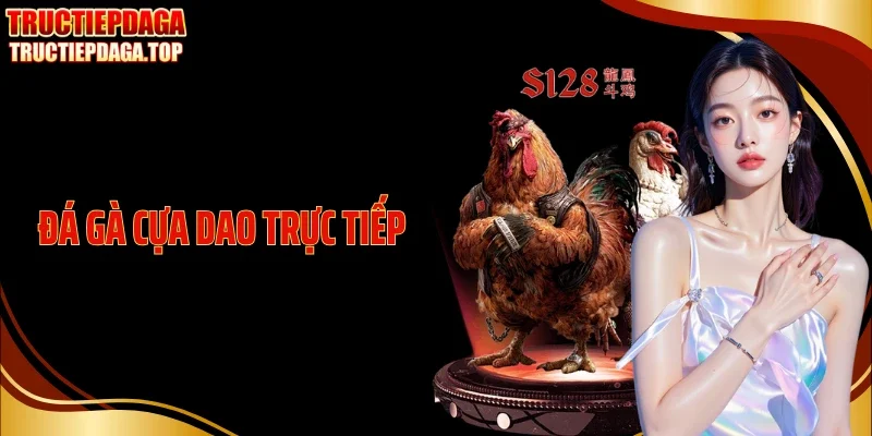 Thế Trận Quyết Liệt Từng Pha Trong Đá Gà Cựa Dao Trực Tiếp