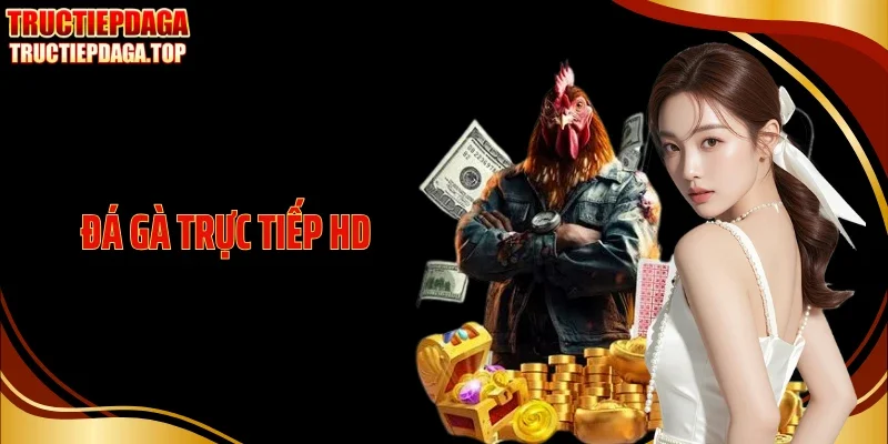 Đá Gà Trực Tiếp HD - Chất Lượng Hình Ảnh Dẫn Đầu Kèo Đấu