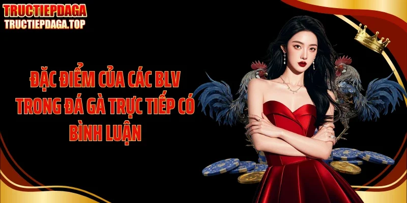 dac diem cua cac blv trong da ga truc tiep co binh luan Đặc điểm của các BLV trong đá gà trực tiếp có bình luận