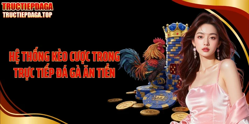 he thong keo cuoc trong truc tiep da ga an tien Hệ thống kèo cược trong trực tiếp đá gà ăn tiền