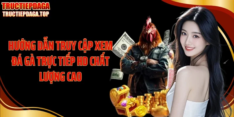 Hướng dẫn truy cập xem đá gà trực tiếp HD chất lượng cao