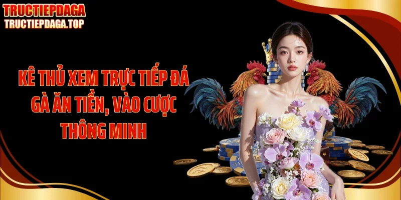ke thu xem truc tiep da ga an tien vao cuoc thong minh Kê thủ xem trực tiếp đá gà ăn tiền, vào cược thông minh