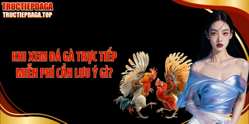 Khi xem đá gà trực tiếp miễn phí cần lưu ý gì?