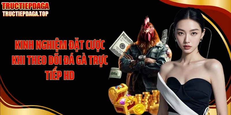Kinh nghiệm đặt cược khi theo dõi đá gà trực tiếp HD