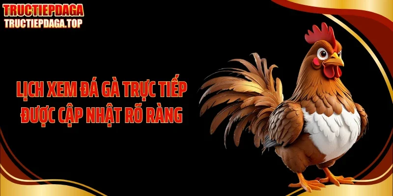 lich xem da ga truc tiep duoc cap nhat ro rang Lịch xem đá gà trực tiếp được cập nhật rõ ràng