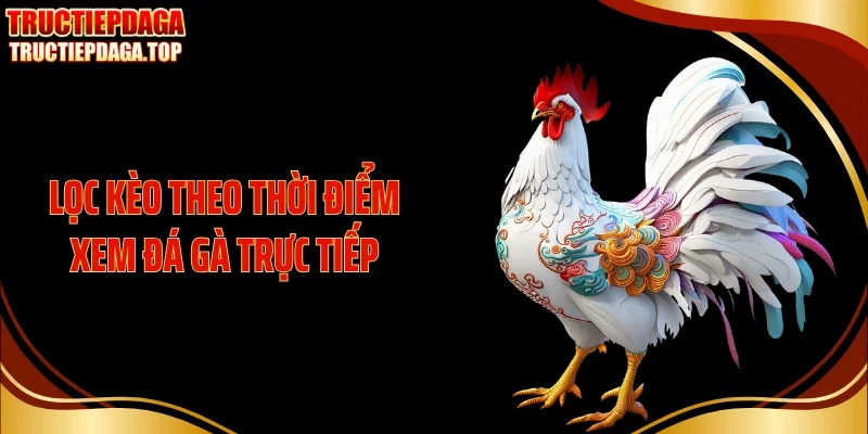 loc keo theo thoi diem xem da ga truc tiep Lọc kèo theo thời điểm xem đá gà trực tiếp
