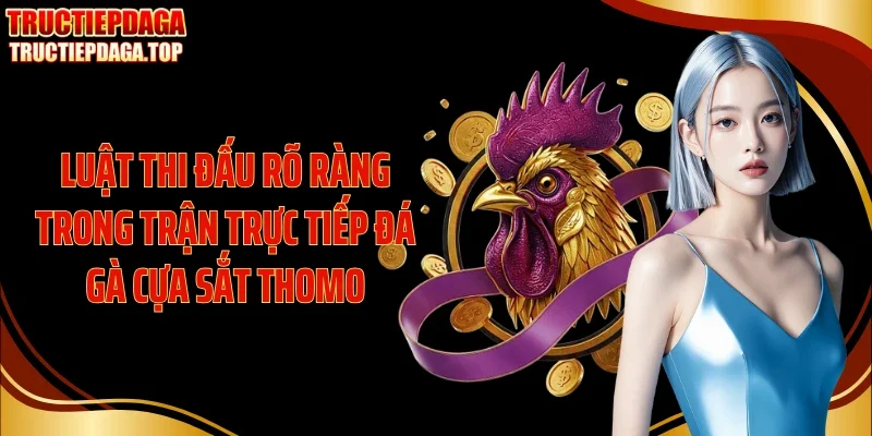 luat thi dau ro rang trong tran truc tiep da ga cua sat thomo Luật thi đấu rõ ràng trong trận trực tiếp đá gà cựa sắt Thomo