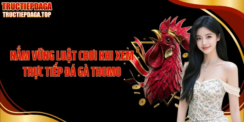 Nắm vững luật chơi khi xem trực tiếp đá gà Thomo