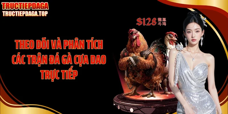 Theo dõi và phân tích các trận đá gà cựa dao trực tiếp