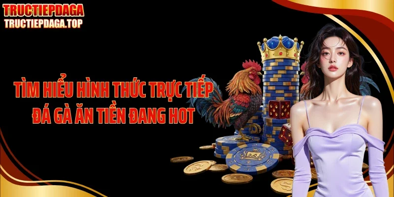 tim hieu hinh thuc truc tiep da ga an tien dang hot Tìm hiểu hình thức trực tiếp đá gà ăn tiền đang hot