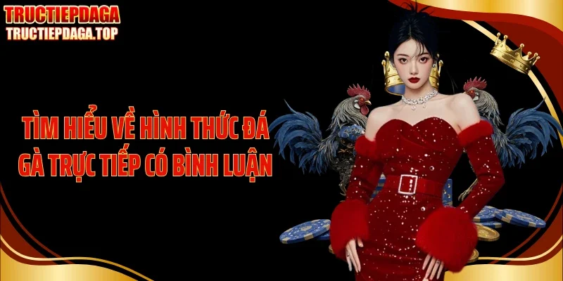 tim hieu ve hinh thuc da ga truc tiep co binh luan Tìm hiểu về hình thức đá gà trực tiếp có bình luận