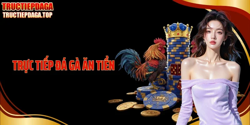 Trực Tiếp Đá Gà Ăn Tiền Giữ Trọn Nhịp Sới Và Dòng Tiền