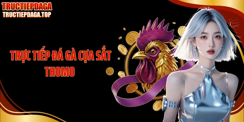 Trực Tiếp Đá Gà Cựa Sắt Thomo Giữ Nhịp Sới Căng Suốt Trận