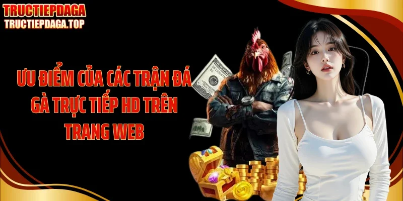 Ưu điểm của các trận đá gà trực tiếp HD trên trang web