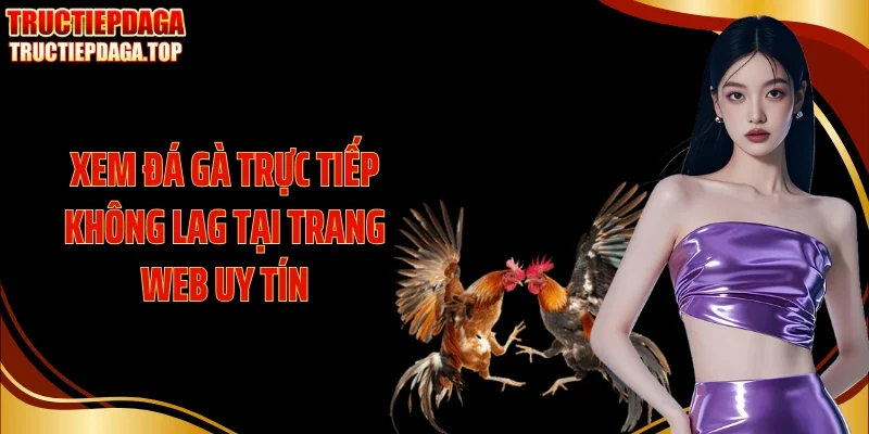 xem da ga truc tiep khong lag tai trang web uy tin Xem đá gà trực tiếp không lag tại trang web uy tín