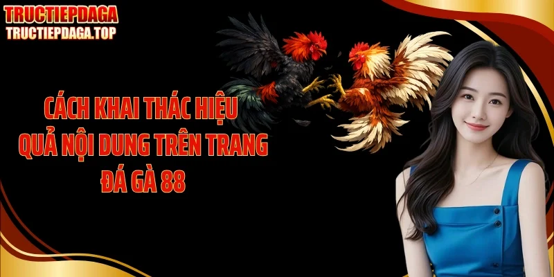 cach khai thac hieu qua noi dung tren trang da ga 88 Cách khai thác hiệu quả nội dung trên trang đá gà 88