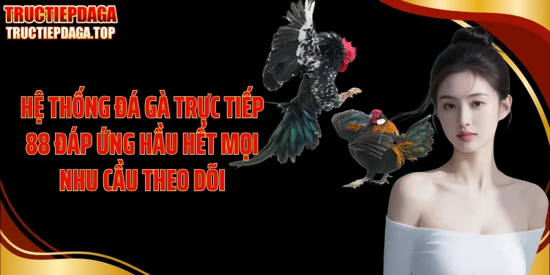 he thong da ga truc tiep 88 dap ung hau het moi nhu cau theo doi Hệ thống Đá gà trực tiếp 88 đáp ứng hầu hết mọi nhu cầu theo dõi