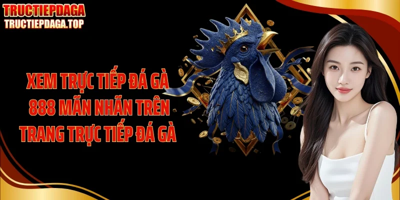 Xem Trực tiếp đá gà 888 mãn nhãn trên trang trực tiếp đá gà