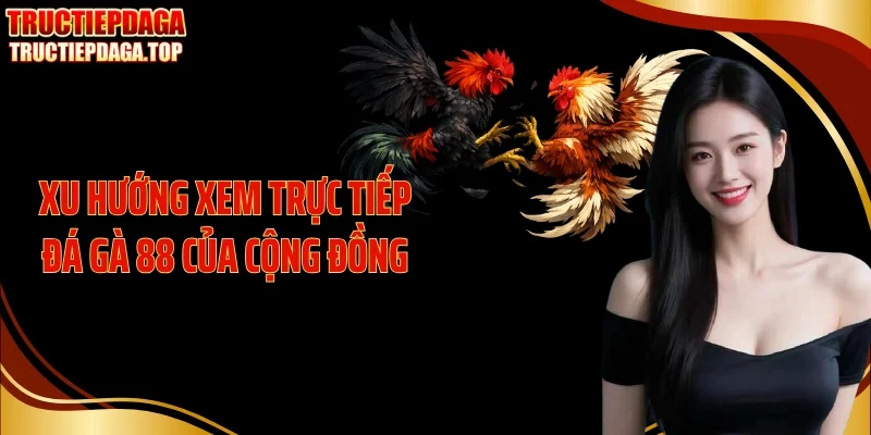 xu huong xem truc tiep da ga 88 cua cong dong Xu hướng xem trực tiếp đá gà 88 của cộng đồng